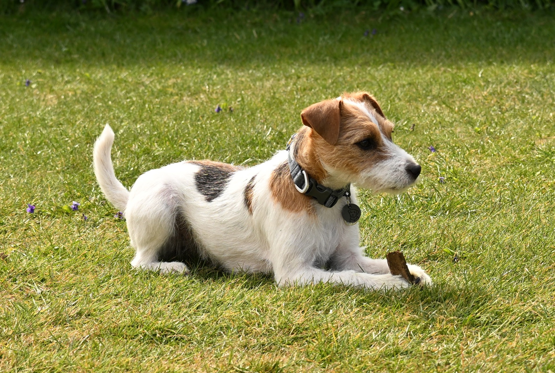 Hurricane Hilda: BBDD